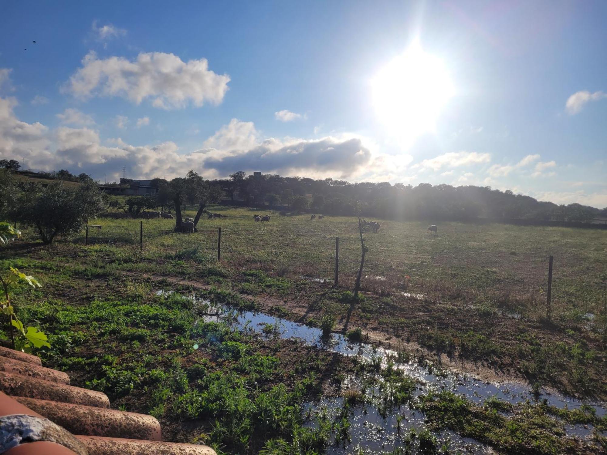 Villanueva del Duque Complejo Rural El Soldadoヴィラ エクステリア 写真