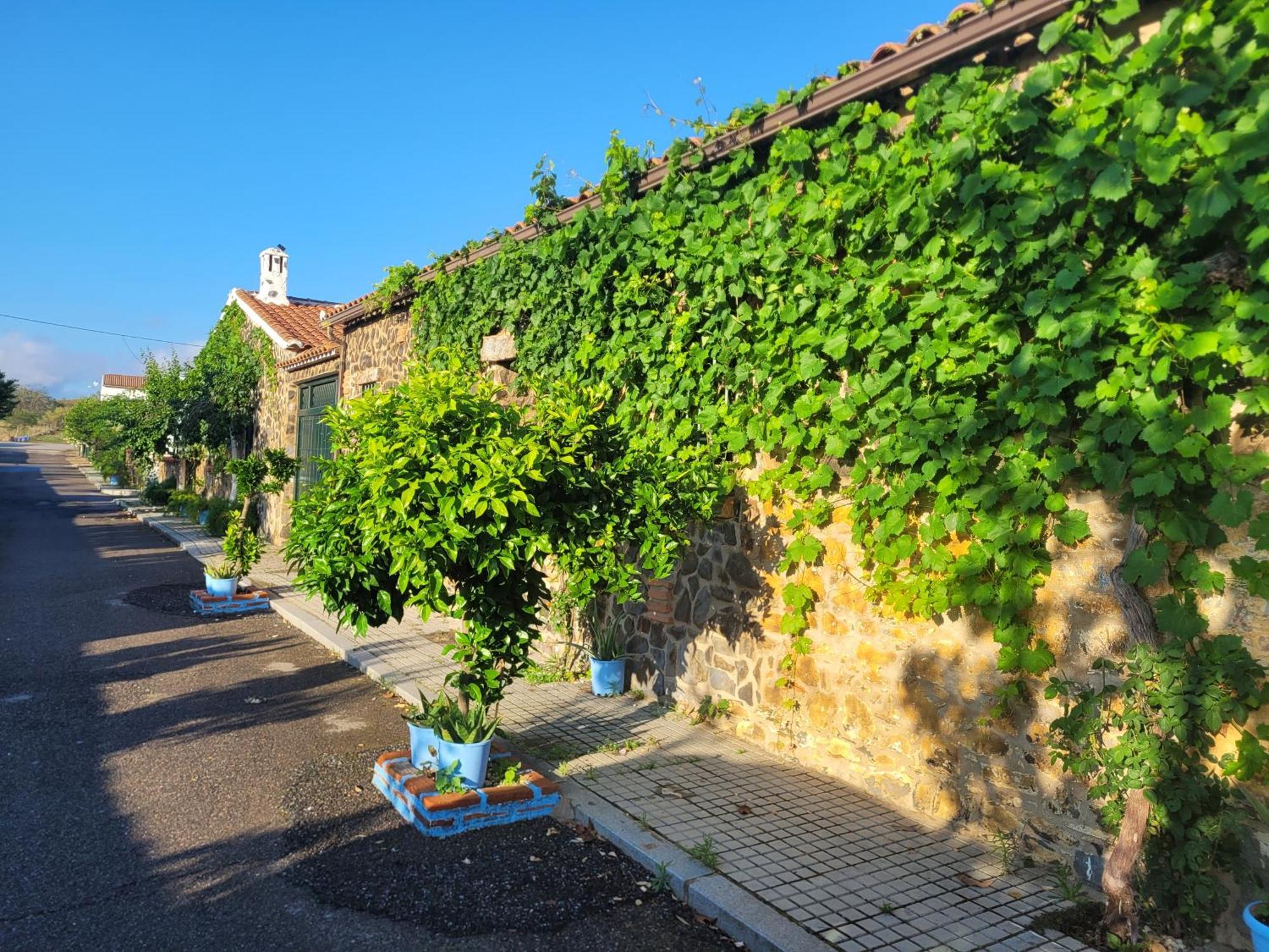 Villanueva del Duque Complejo Rural El Soldadoヴィラ エクステリア 写真
